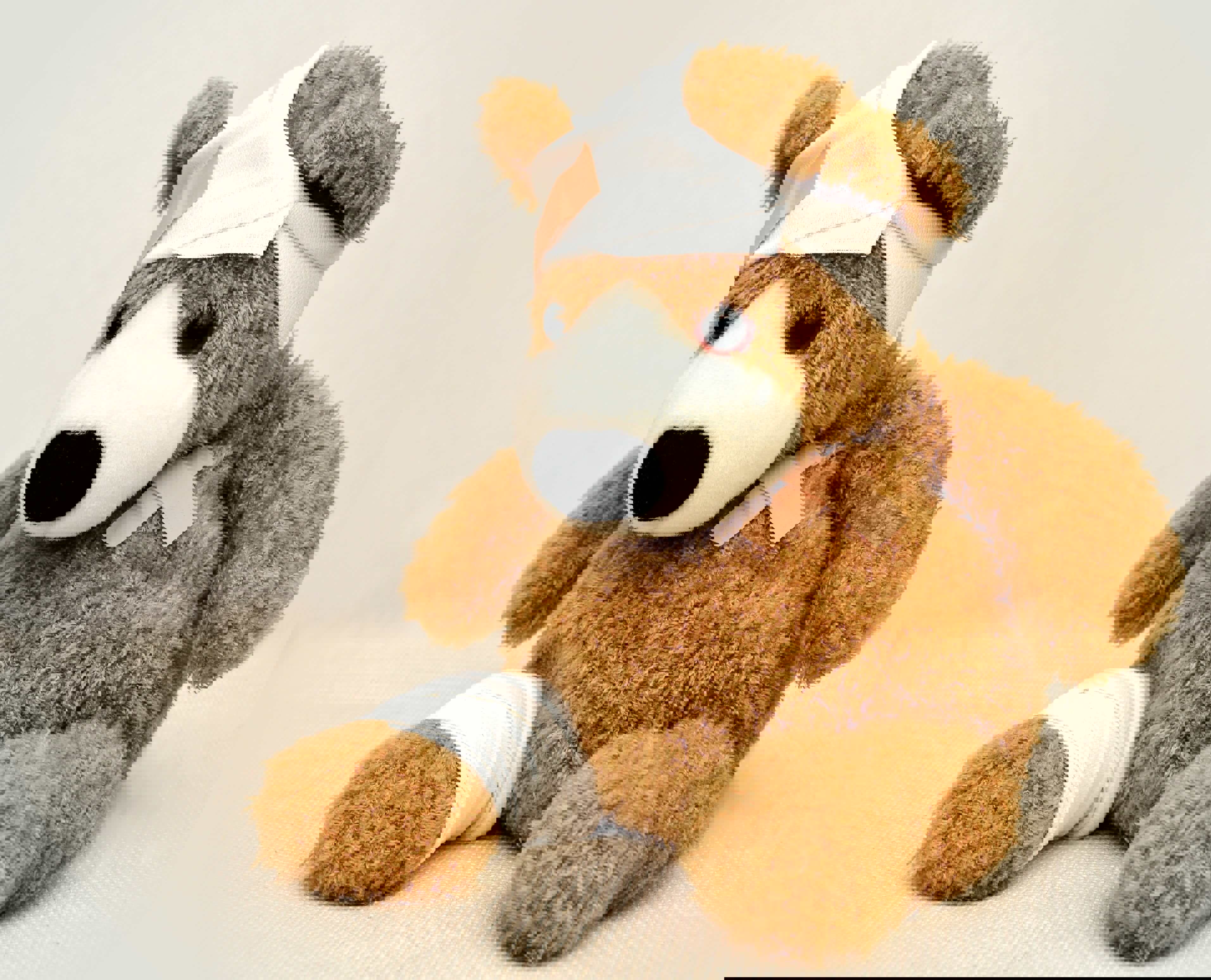 injured bear