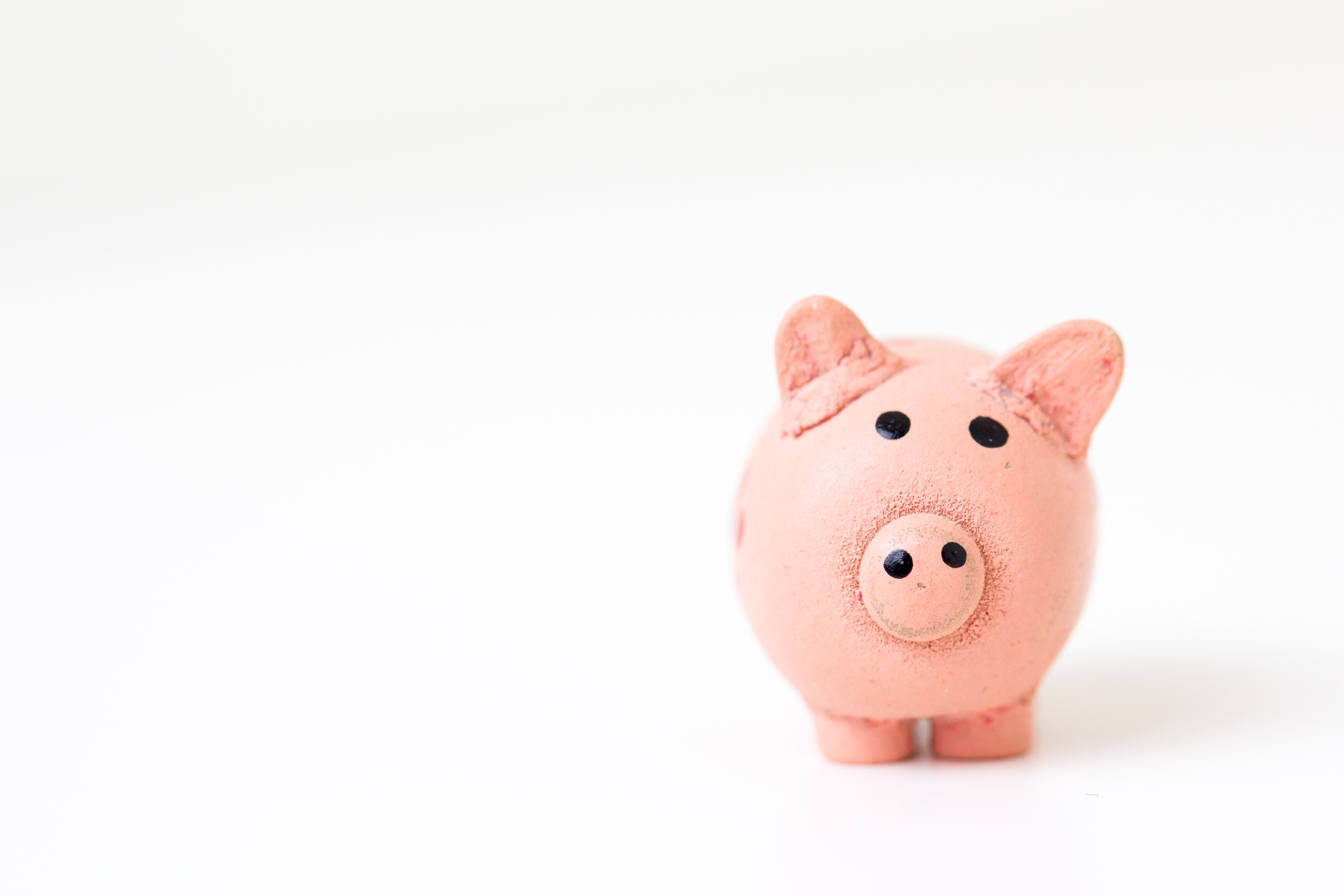 A pink pig money saving box