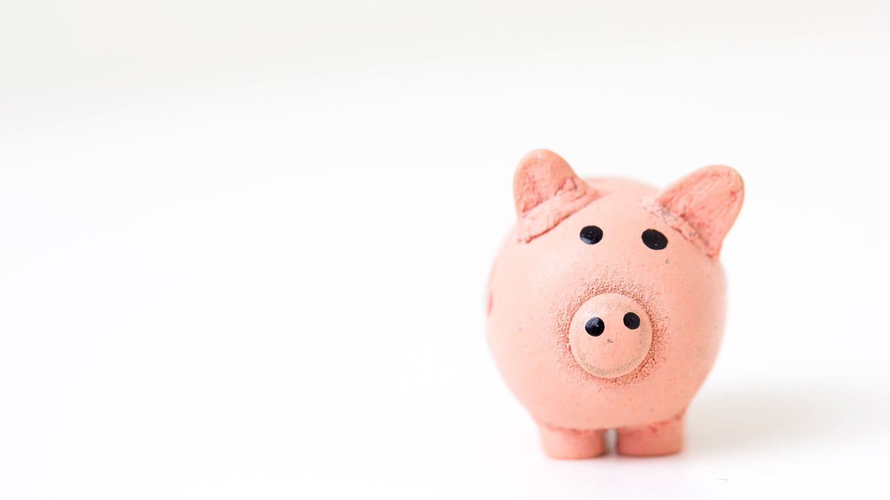 A pink pig money saving box